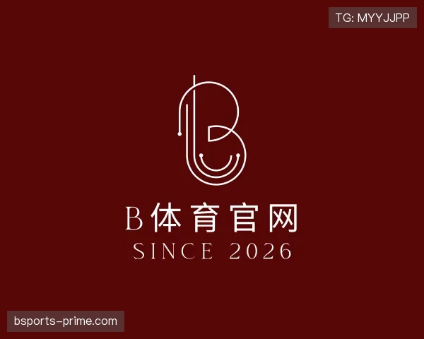 解读B体育